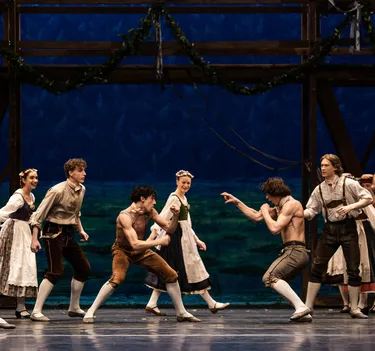 Illusionen – wie Schwanensee