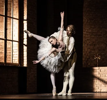 Illusionen – wie Schwanensee