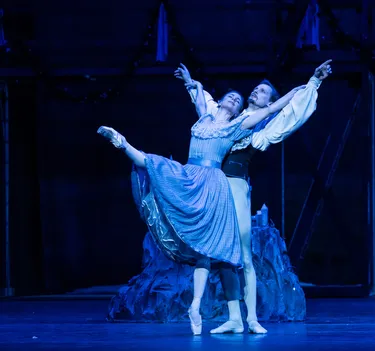 Illusionen – wie Schwanensee