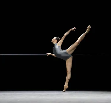 Blake Works V (The Barre Project)