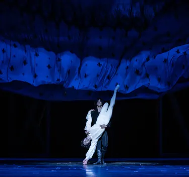 Illusionen – wie Schwanensee