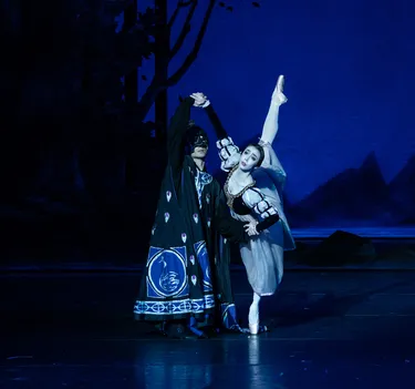 Illusionen – wie Schwanensee