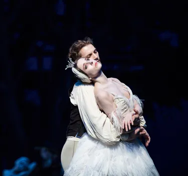 Illusionen – wie Schwanensee