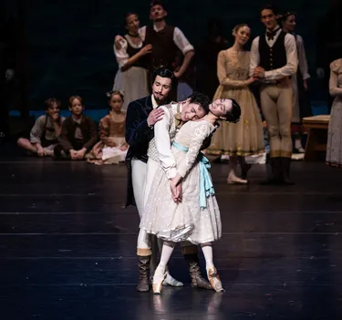 Illusionen – wie Schwanensee