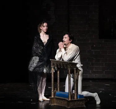 Illusionen – wie Schwanensee