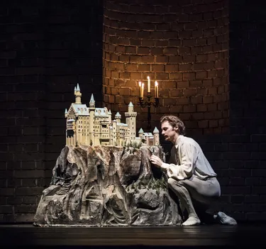 Illusionen – wie Schwanensee