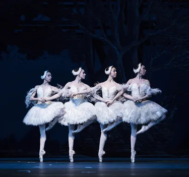 Illusionen – wie Schwanensee