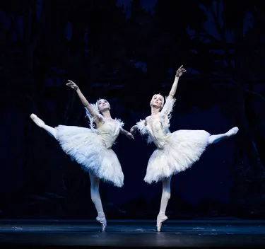 Illusionen – wie Schwanensee