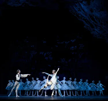 Illusionen – wie Schwanensee