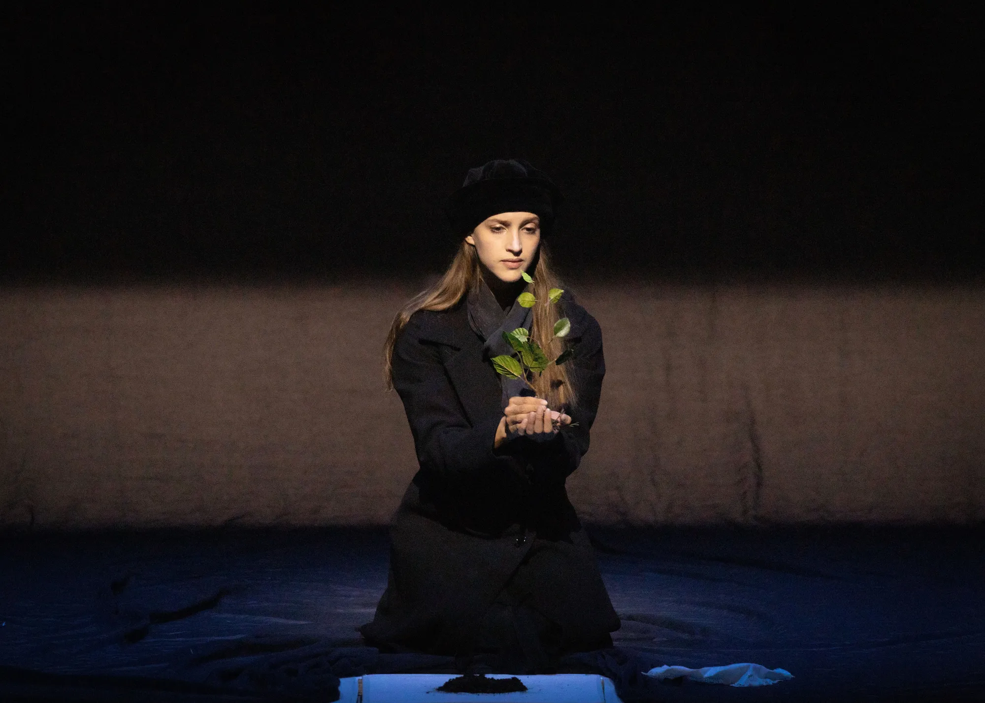 Concert performance