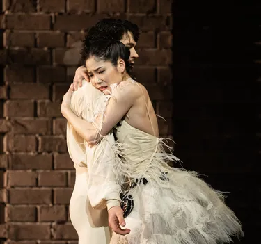 Illusionen – wie Schwanensee