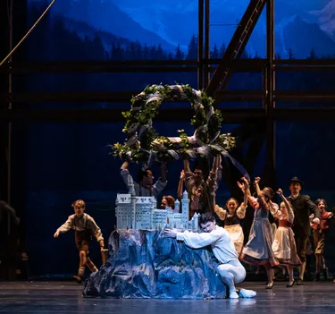 Illusionen – wie Schwanensee