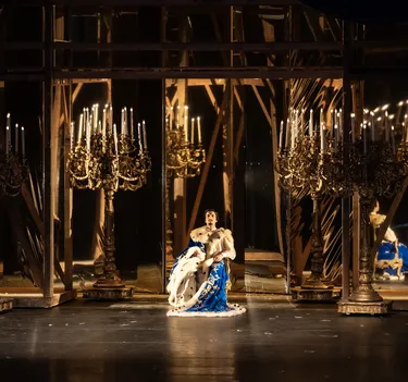 Illusionen – wie Schwanensee