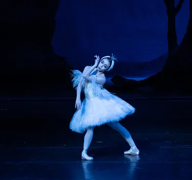 Illusionen – wie Schwanensee