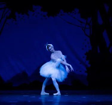 Illusionen – wie Schwanensee