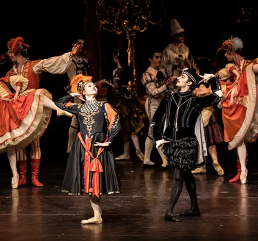 Illusionen – wie Schwanensee