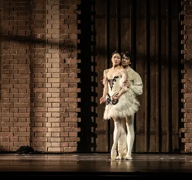 Illusionen – wie Schwanensee