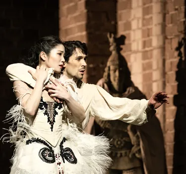 Illusionen – wie Schwanensee