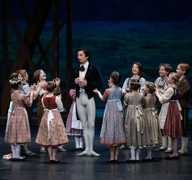 Illusionen – wie Schwanensee