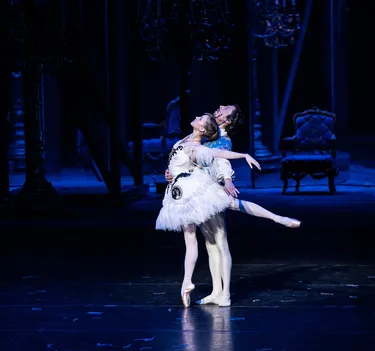 Illusionen – wie Schwanensee