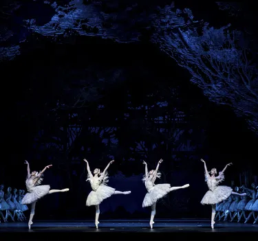 Illusionen – wie Schwanensee