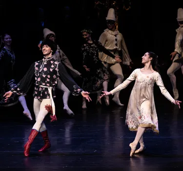 Illusionen – wie Schwanensee