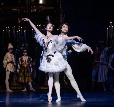 Illusionen – wie Schwanensee